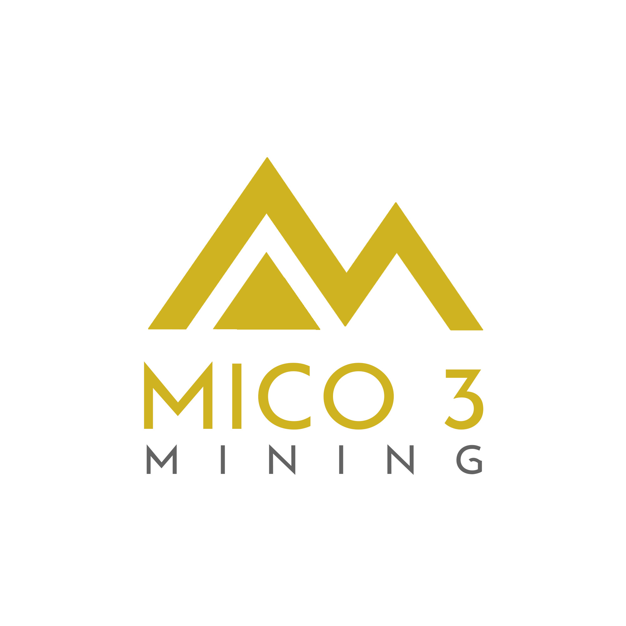 Số 217 Về việc yêu cầu cung cấp, bổ sung thông tin cổ đông_0001